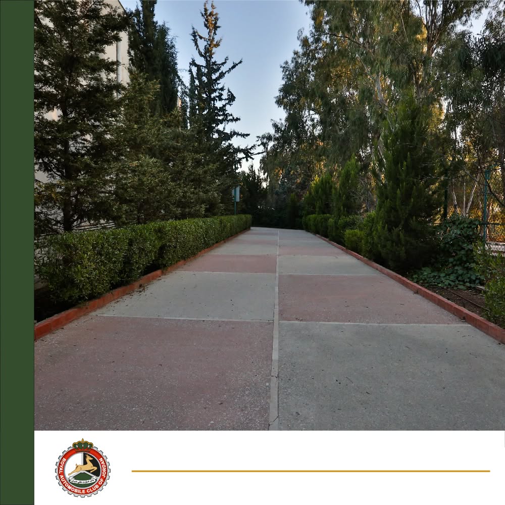 Walking Track photo 2